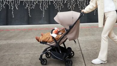 Kolay Taşınan Bebek Arabası Seçme Rehberi